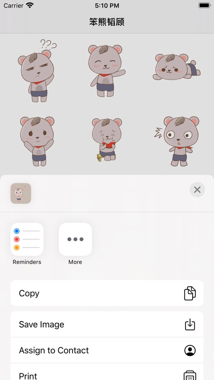 笨熊韬顾