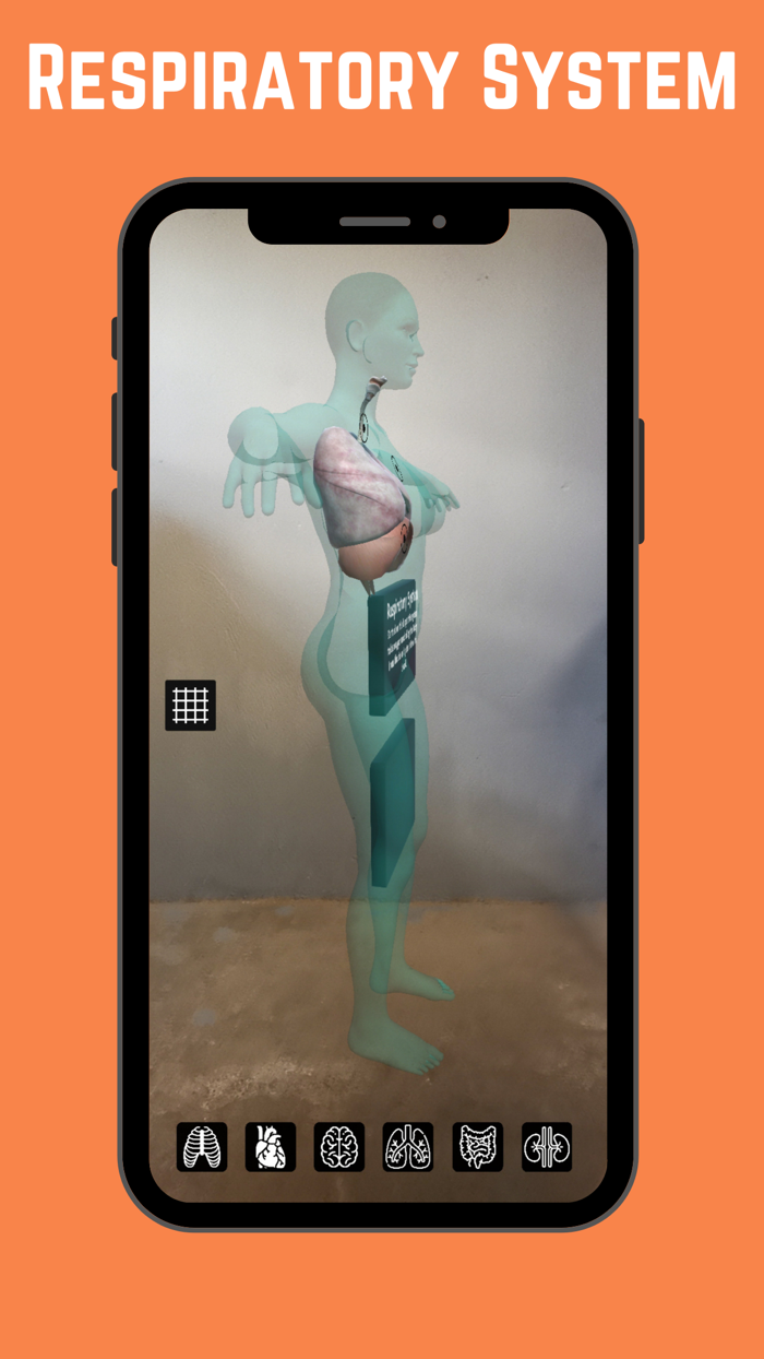 Complete Anatomy with Sisanda