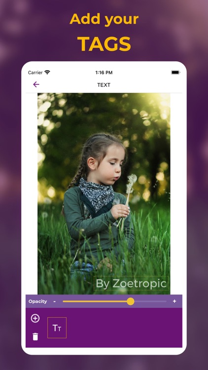 Zoetropic - Photo in motion screenshot-4