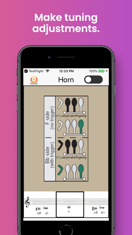 Fingering & Tuning Charts screenshot-8