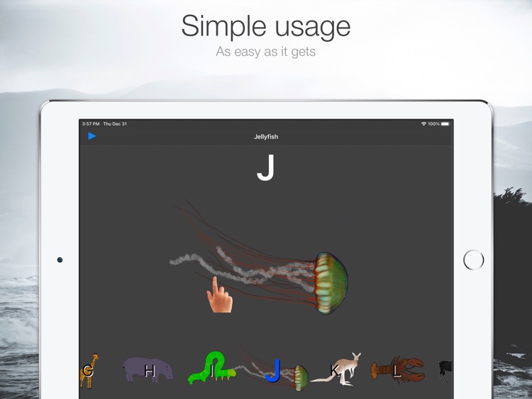 Alphabet of Animals screenshot-3