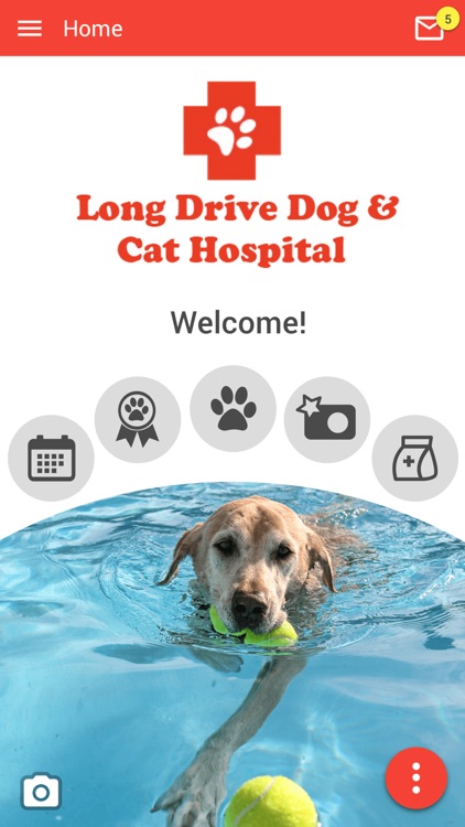 Long Drive Dog & Cat Hospital