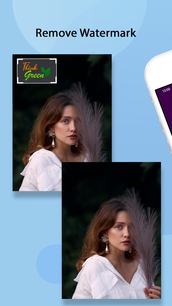 Video Watermark Remover