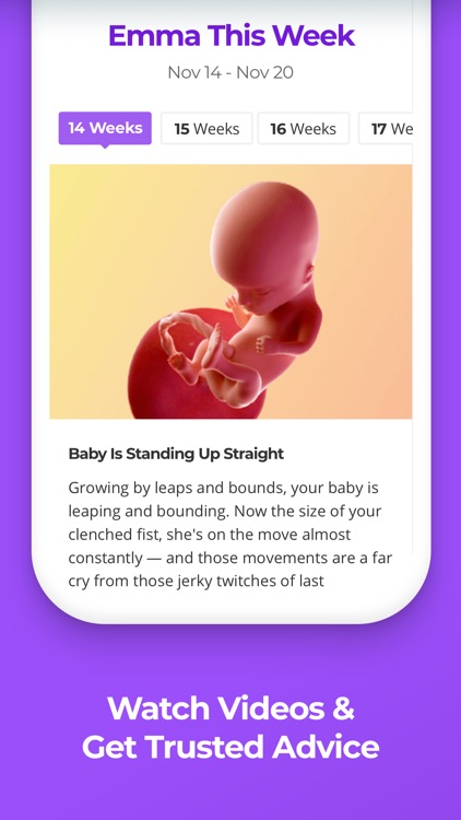 Pregnancy & Baby Tracker WTE