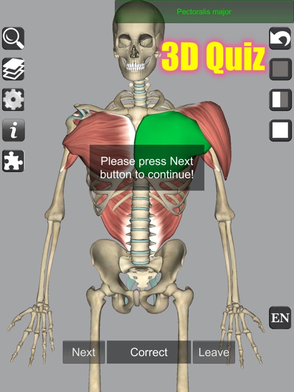 3D Anatomy Learning