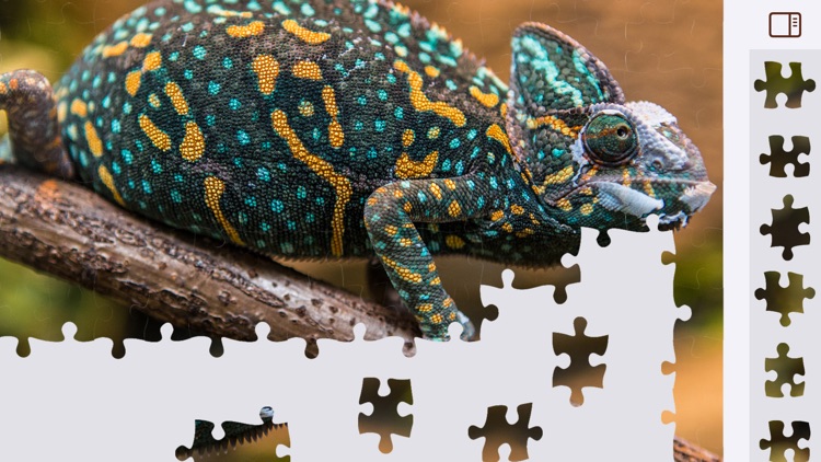 Jigsaw Puzzles Animals screenshot-0