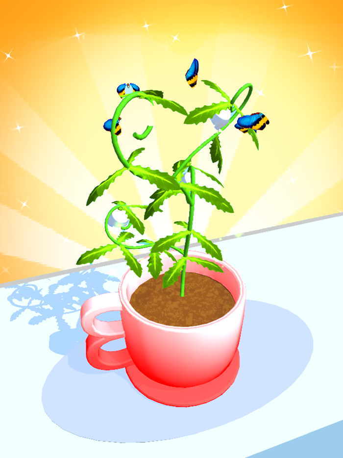 Plant Grow