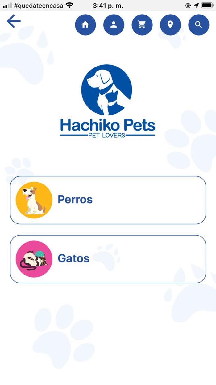 Hachiko Pets