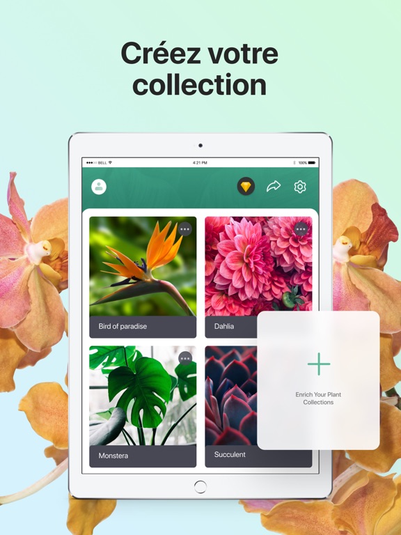 PictureThis-Identifier Plantes PictureThis-Identifier Plantes