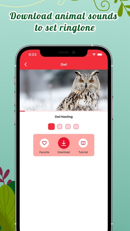 Animal Sounds Ringtones screenshot-4