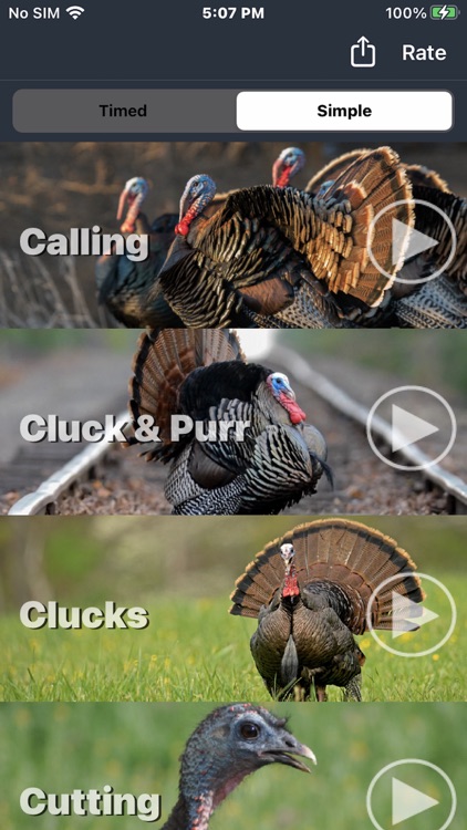 Wild Turkey Calls + screenshot-4