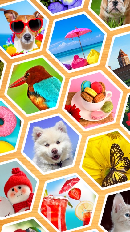 Jigsaw Puzzles Hexa Ⓞ screenshot-5
