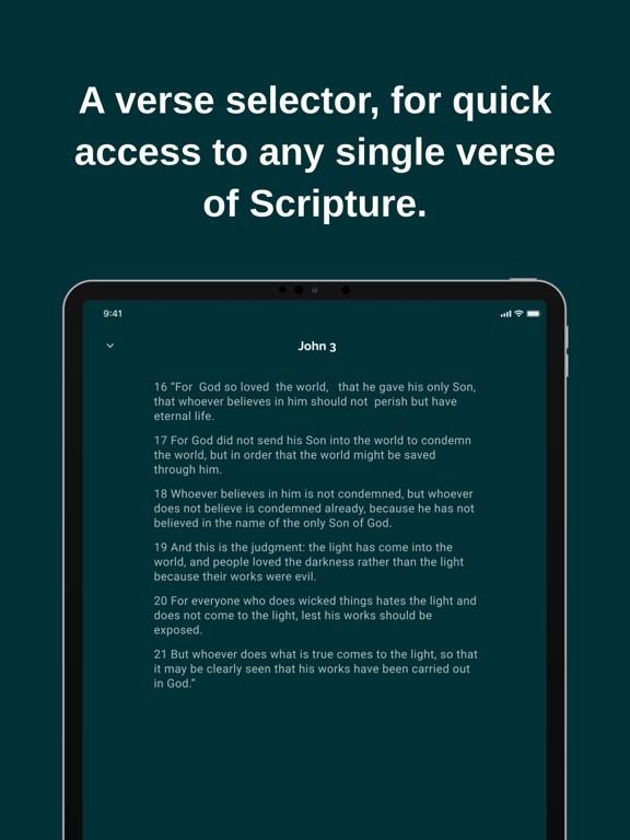 Gideon Bible App screenshot 3