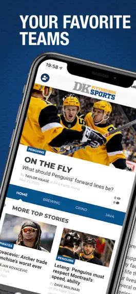 Game screenshot DK Pittsburgh Sports mod apk