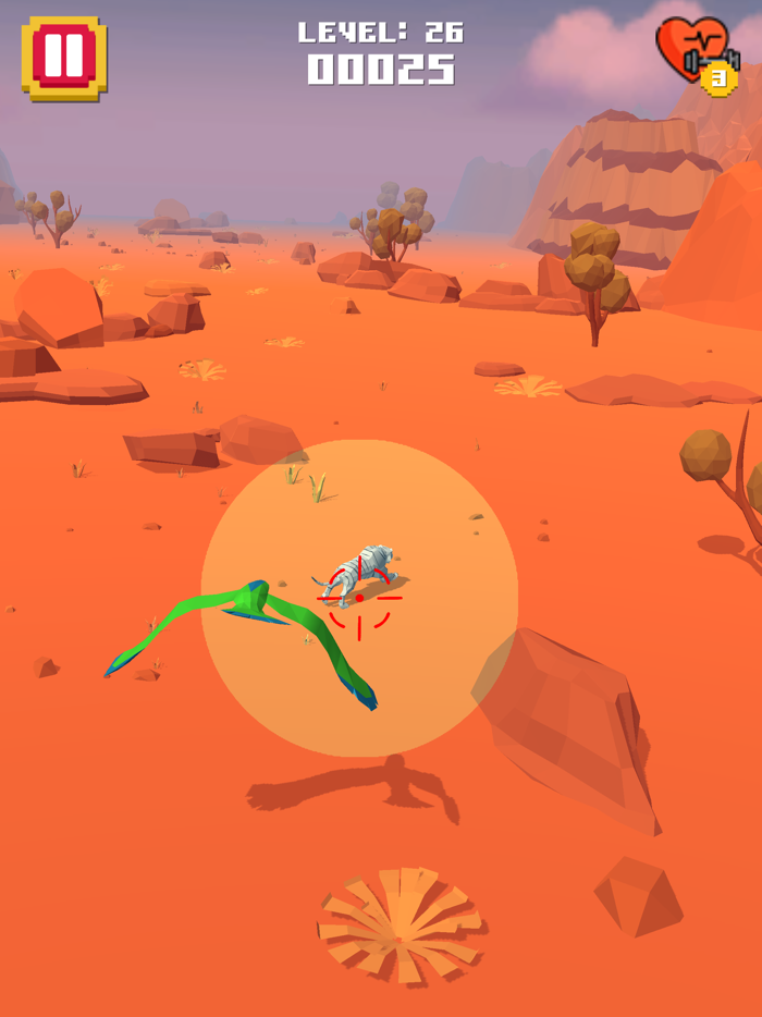 Bird Of Prey - Hunting Animals