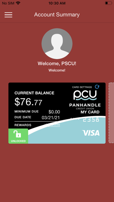 Panhandle Credit Card Manager screenshot 2