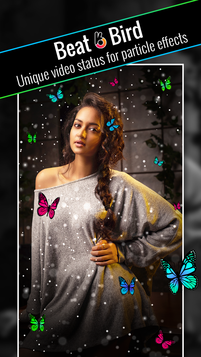 BeatBird - MusicBit VideoMaker