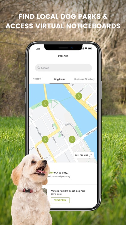 PatchPets - Dog Social Network