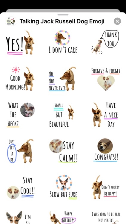 Talking Jack Russell Dog Emoji by Hoang Trong