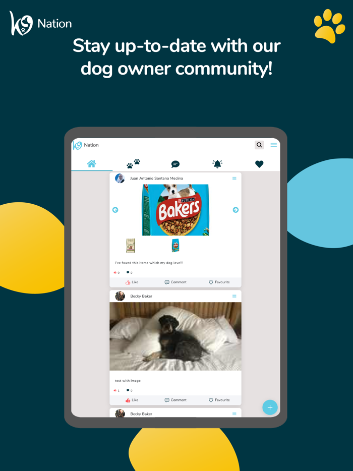 K9 Nation. Dogs,puppies,walks