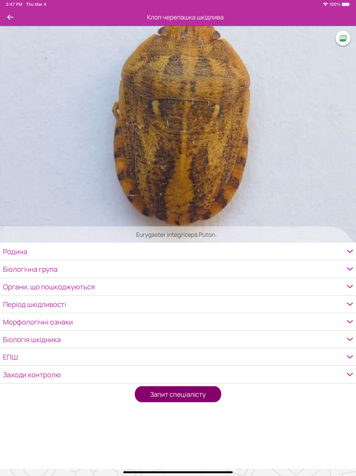 ADAMA Lab – визначник
