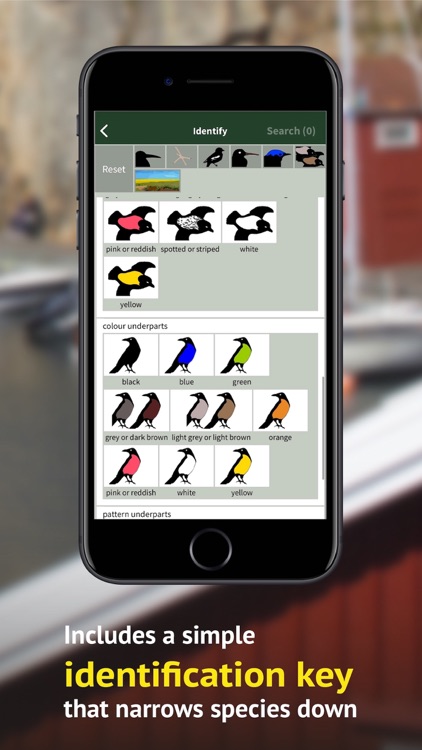 All Birds Sweden - Photo Guide screenshot-8