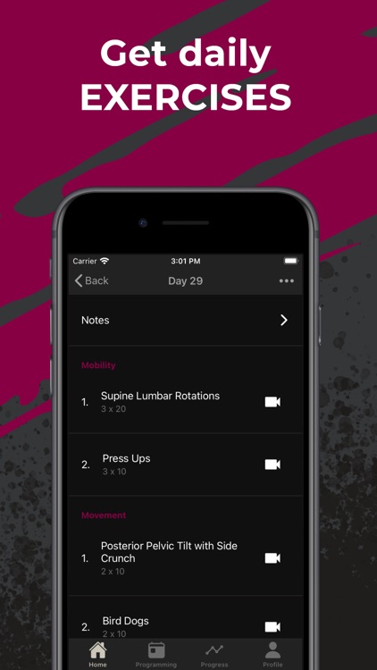 Renegade Rehabilitation