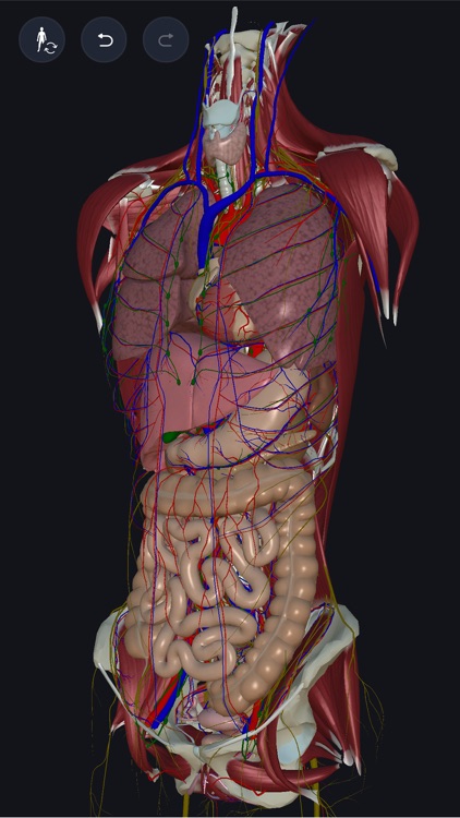 3D anatomy teamLabBody2020 screenshot-0