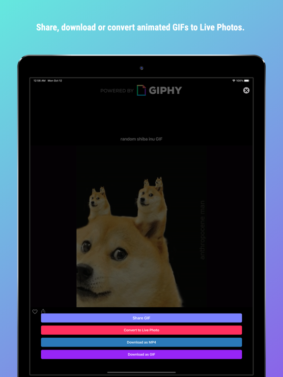 GifSkip: Search & Share Gif Screenshots