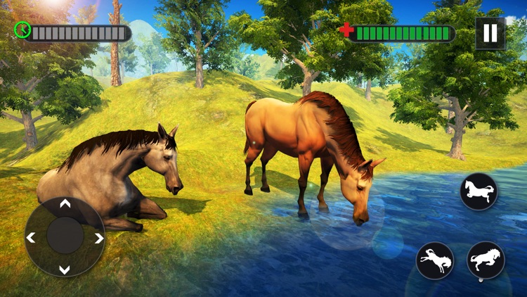 Wild Horse Family Survival 3D