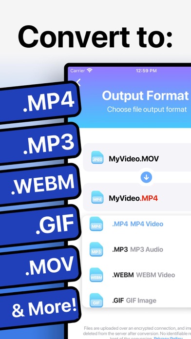 The Video Converter - Convert videos to and from file formats Screenshot 1
