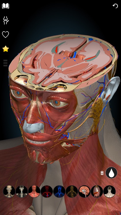 3D Anatomy Learning - Atlas screenshot-4