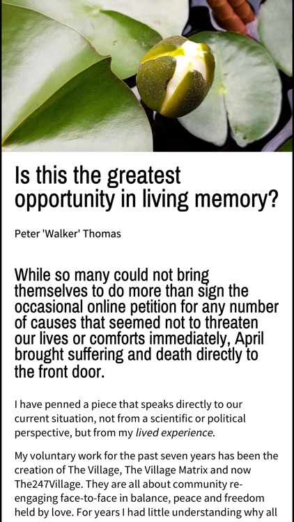 LivingNow screenshot-7
