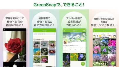 Greensnap 植物 花の名前が判る写真共有アプリ