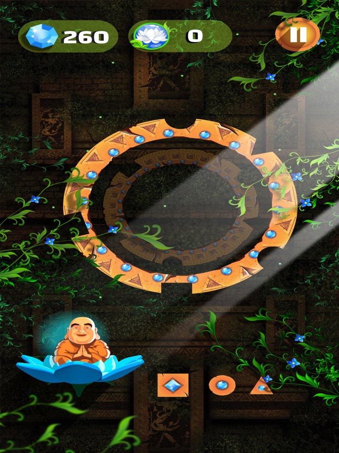 Chakras Path to Nirvana