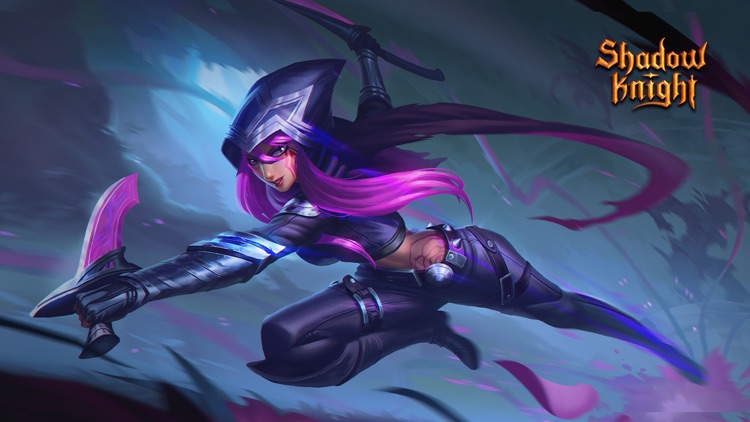 Shadow Knight - The Dark Fight