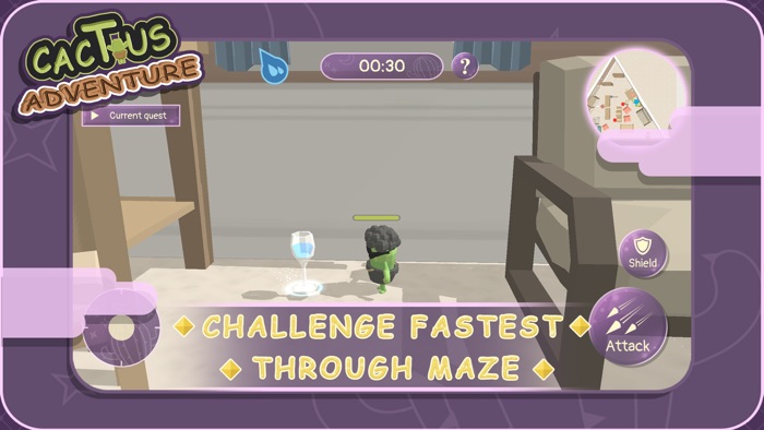 Cactus Adventure -New Dream