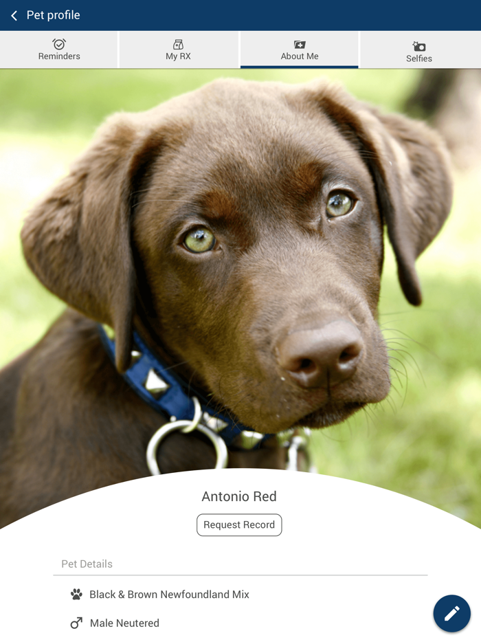 Care Animal Hospital