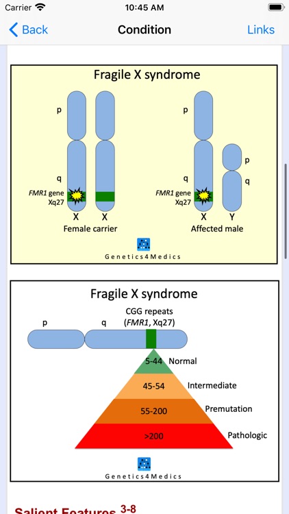 Genetics 4 Medics