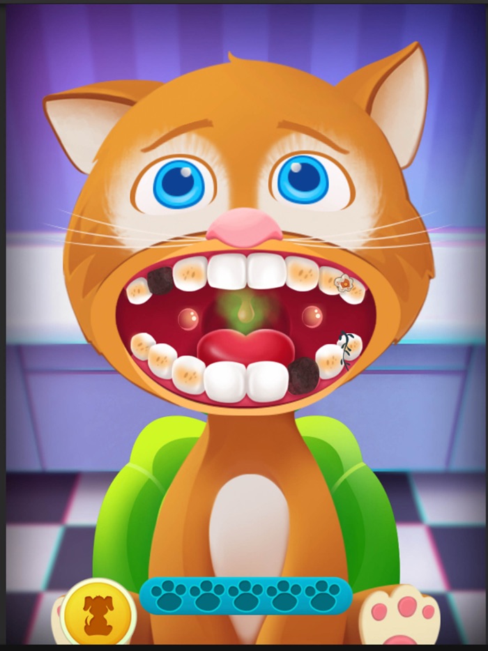 pet Animal  Daycare Vet