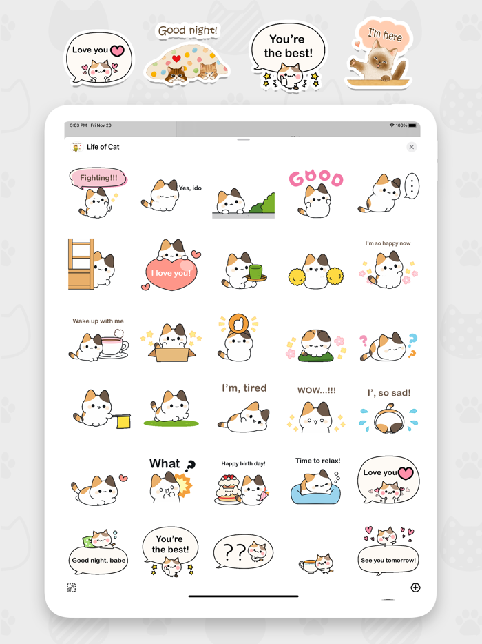 Life of Cat Animated