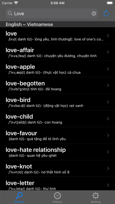 Từ điển 2 (VietnamDictionary) screenshot 4