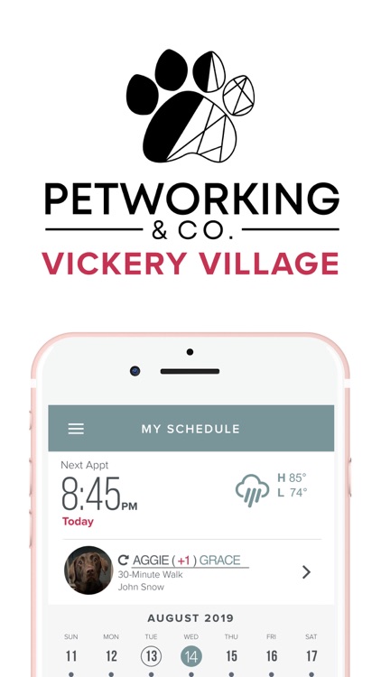 Petworking & CO.