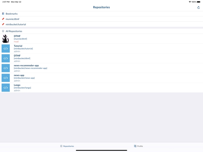 Mini Bucket - BitBucket Client