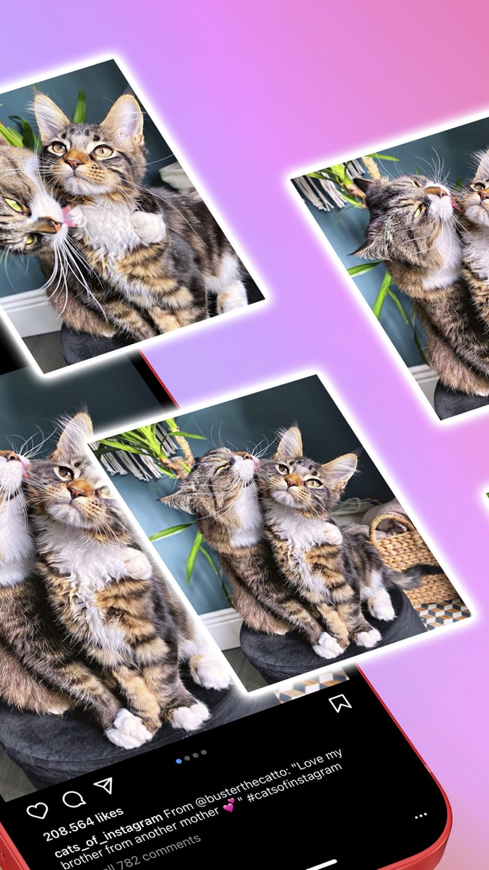 Media saver for Instagram