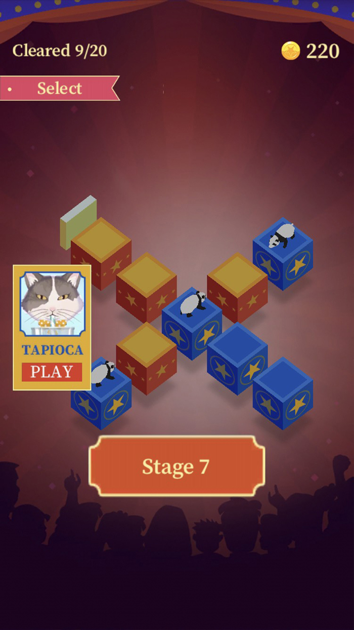 Tiger Master - Puzzle Game