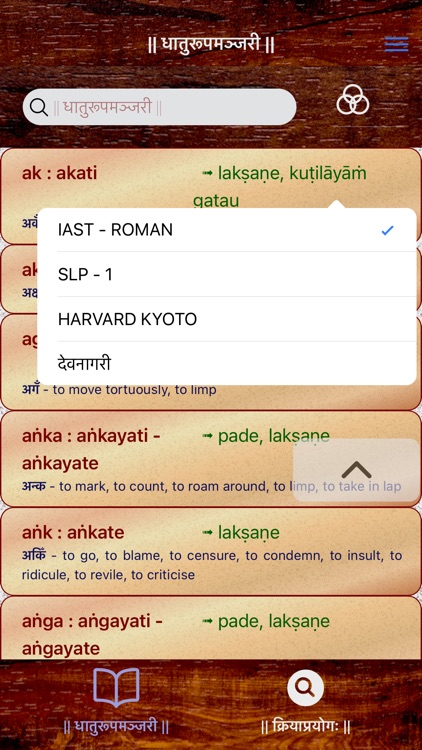 Sanskrit Dhatu 360° screenshot-4