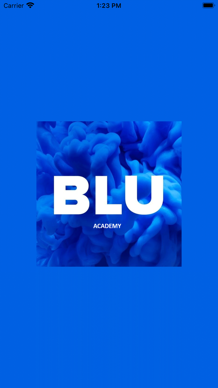 BLU Academy