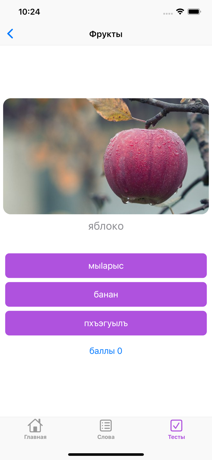 Словарик по темиргоевскому