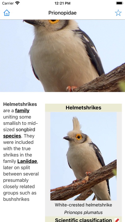 Encyclopedia of Birds screenshot-5